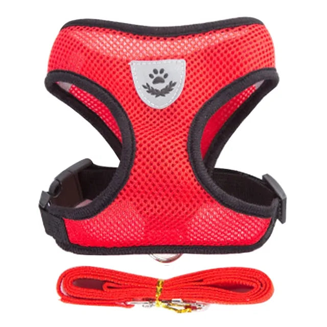 Pet Harness