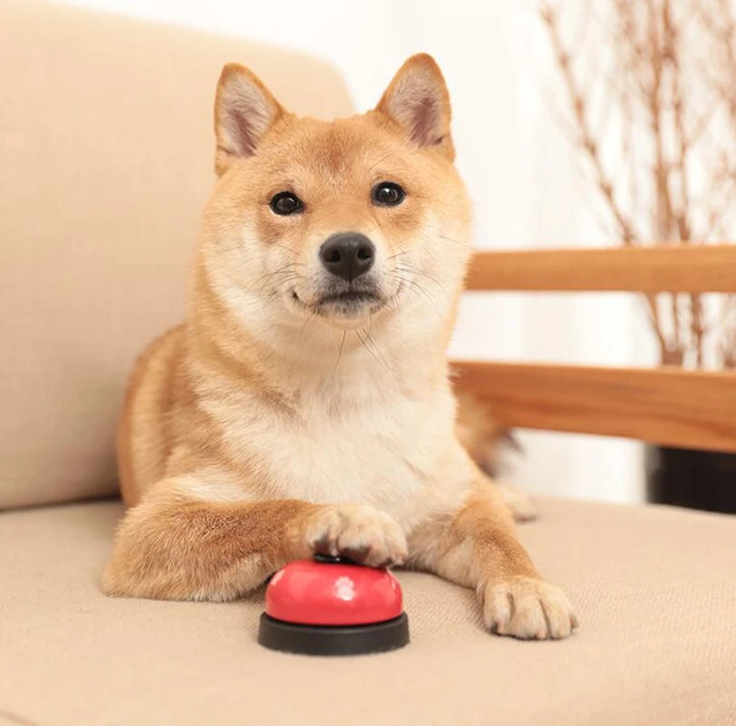 Call Bell Toy for Dog