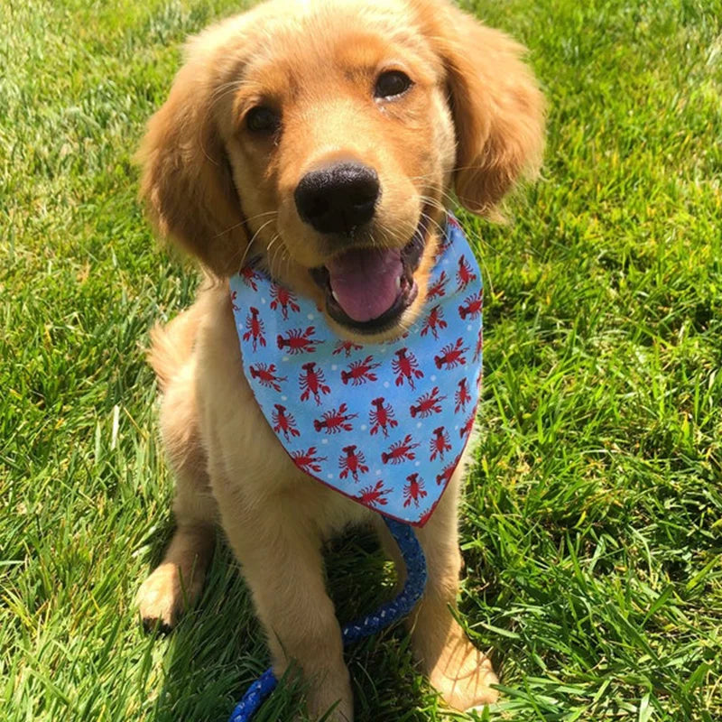 Bandana Outdoor Beach Accessories